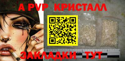 прущие грибы Краснознаменск