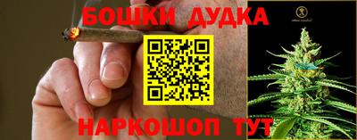 прущие грибы Краснознаменск