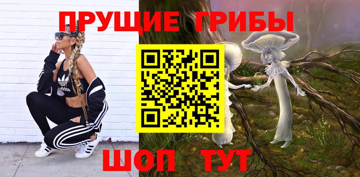 Псилоцибиновые грибы Magic Shrooms Кизляр